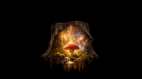 bg 2560x1440 black agaric 1